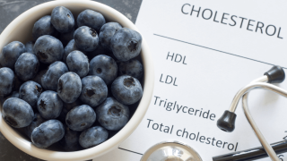 Cholesterol Management - Copy